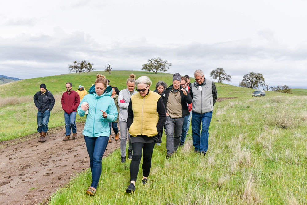 Regeneration Through Agriculture: A Learning Journey at Paicines Ranch