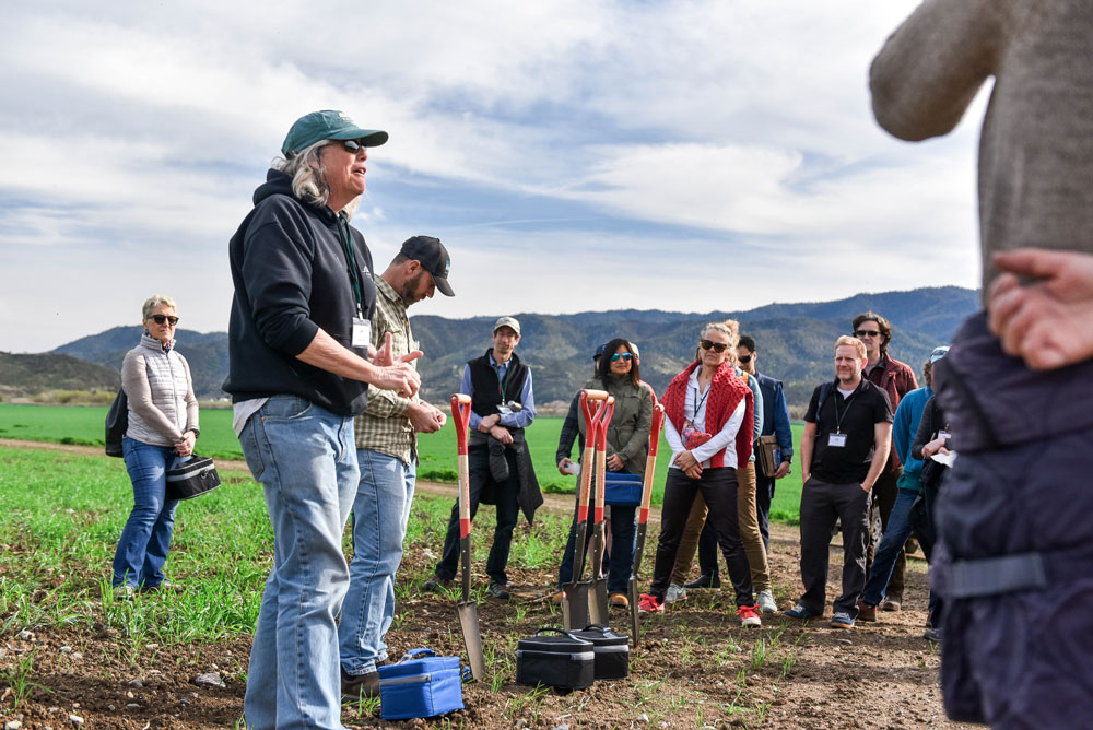 Regeneration Through Agriculture: A Learning Journey at Paicines Ranch