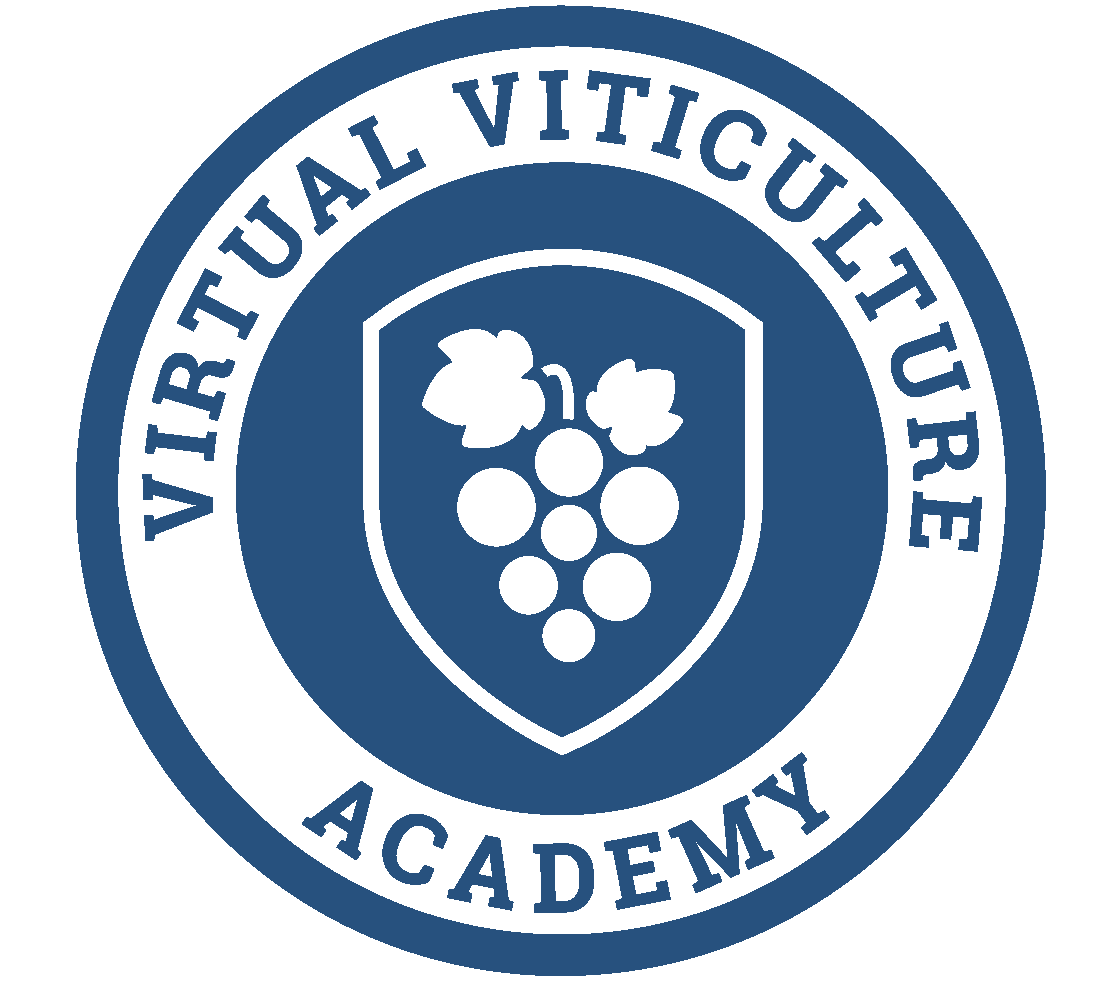 VVAcademy-logo-FINAL-color