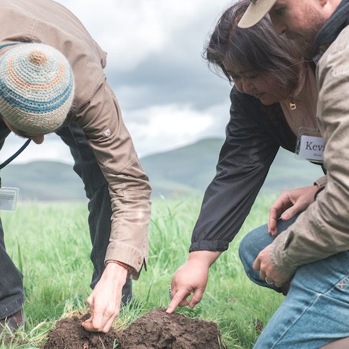 Cover Crop Workshop-20190209-ACA_4861