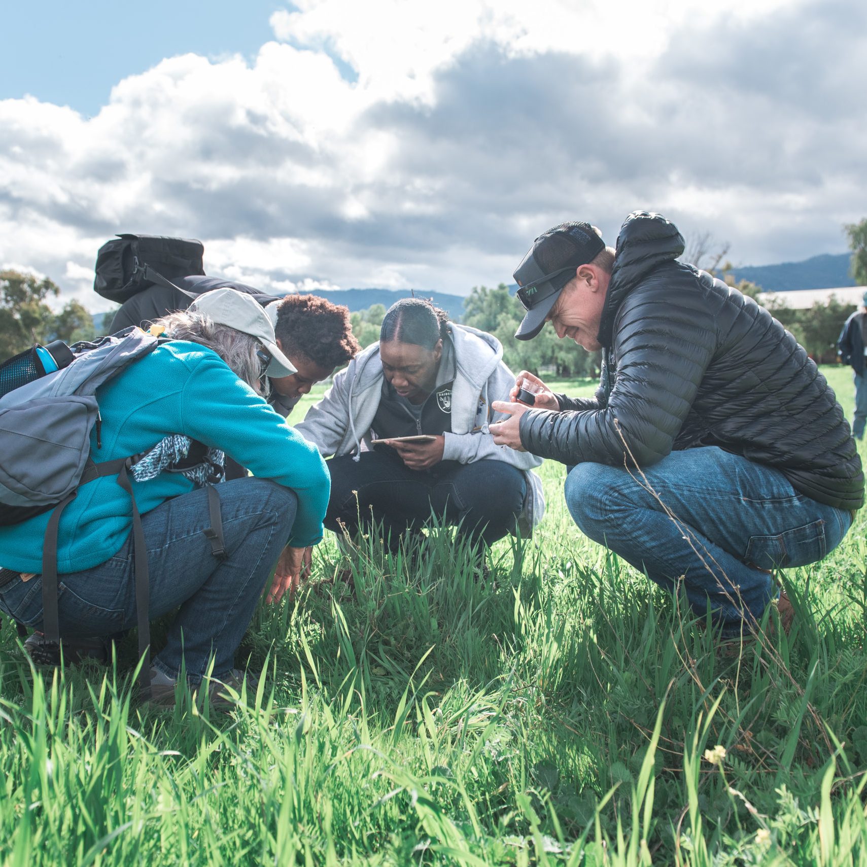 Cover Crop Workshop at Paicines Ranch