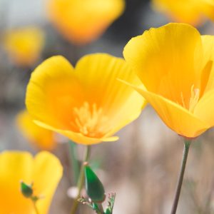 about_contact_square (2)